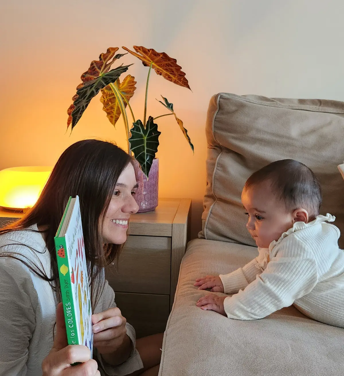 Libro abierto junto a una planta